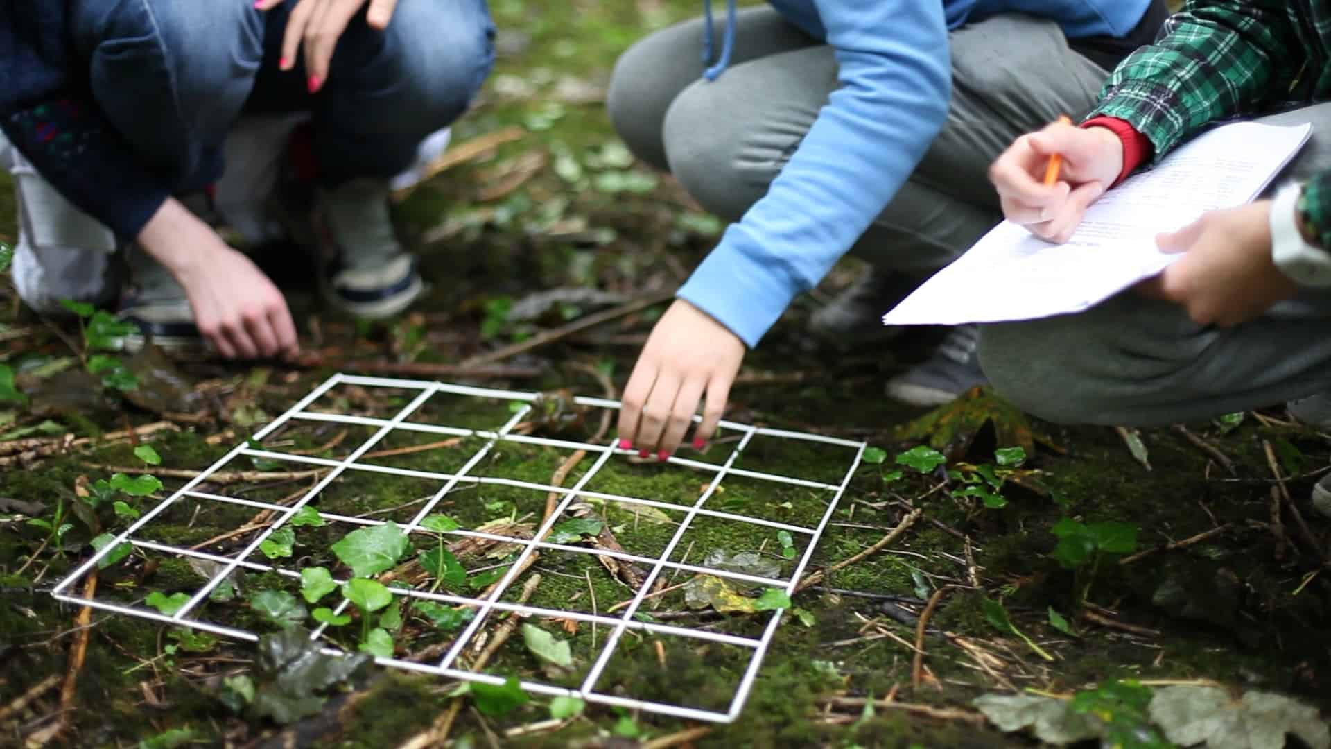 Observing Patterns By Ecological Sampling - Snab Biology