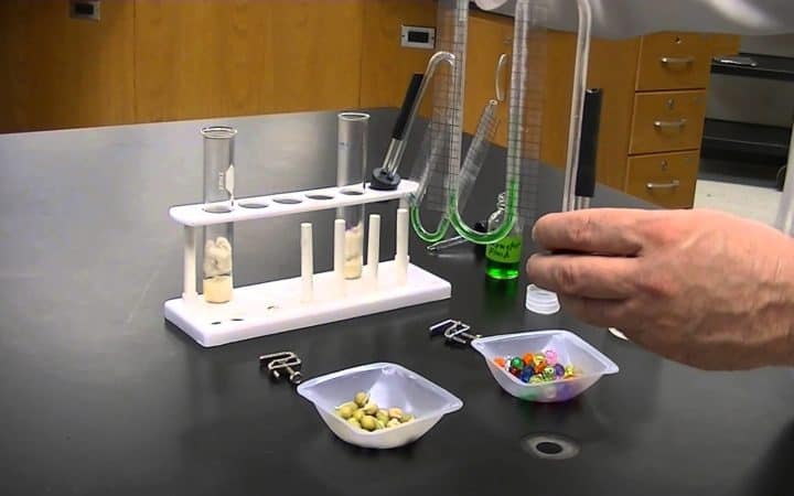 Core Practicals - Snab Biology